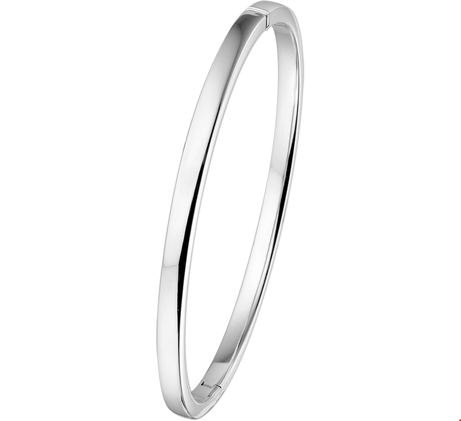 Huiscollectie bangle Witgoud Scharnier Vlakke Buis 4 X 60 mm