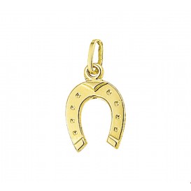 Bedel Hoefijzer Goud