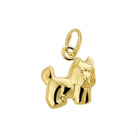 Bedel Schnauzer Goud