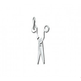 TFT Hanger Zilver Schaar