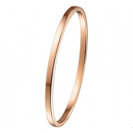 Slavenband Goud met Zilveren Kern Scharnier Massief Vlakke Buis 4 X 61 mm